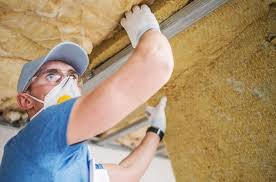 Best Garage Insulation  in Pingree Grove, IL